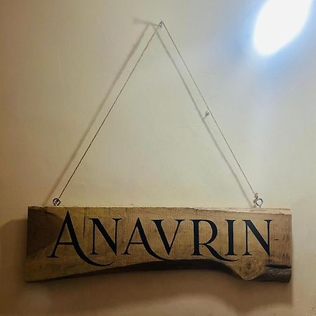ニューデリーAnavrin Art Houseアパートメント エクステリア 写真